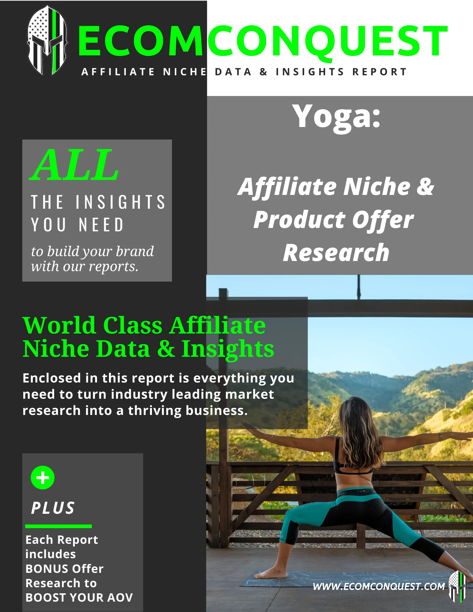 Yoga Market: Affiliate Niche Product Offer Data & Insights Research Report (ANPO)