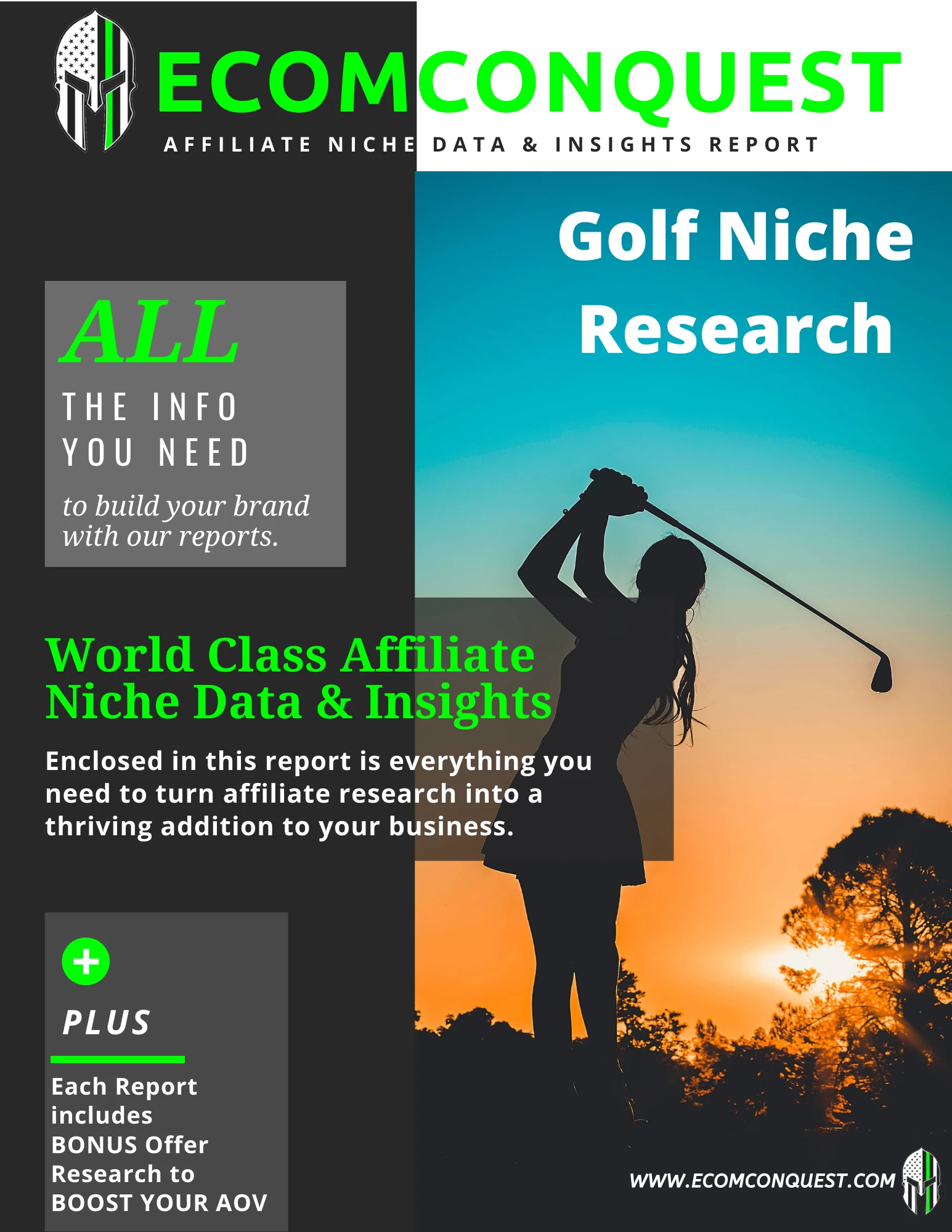 E.g. of Golf Affiliate Niche Data & Insights Research Report